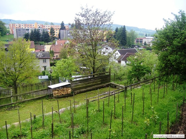 Dolní Žandov - Dolní Žandov, Farní penzion Dolní Žandov - Horní zahradní terasa s vinicí